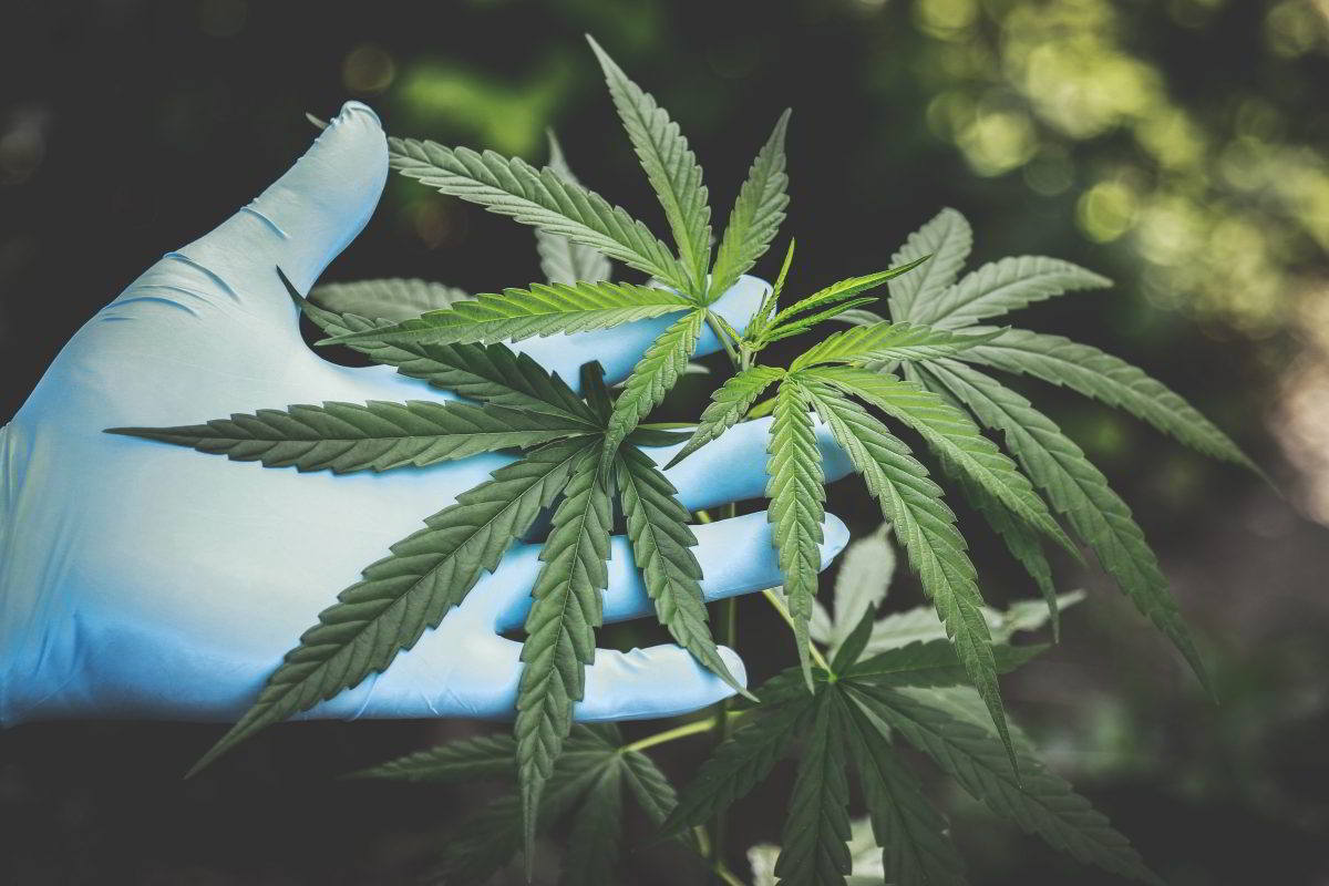 Rhode Island is Accepting Applications for Medical Marijuana Dispensaries