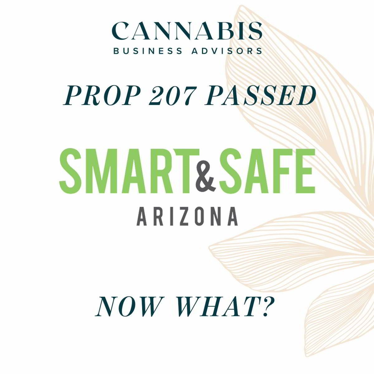 Arizona Prop 207 Passed– Now What?