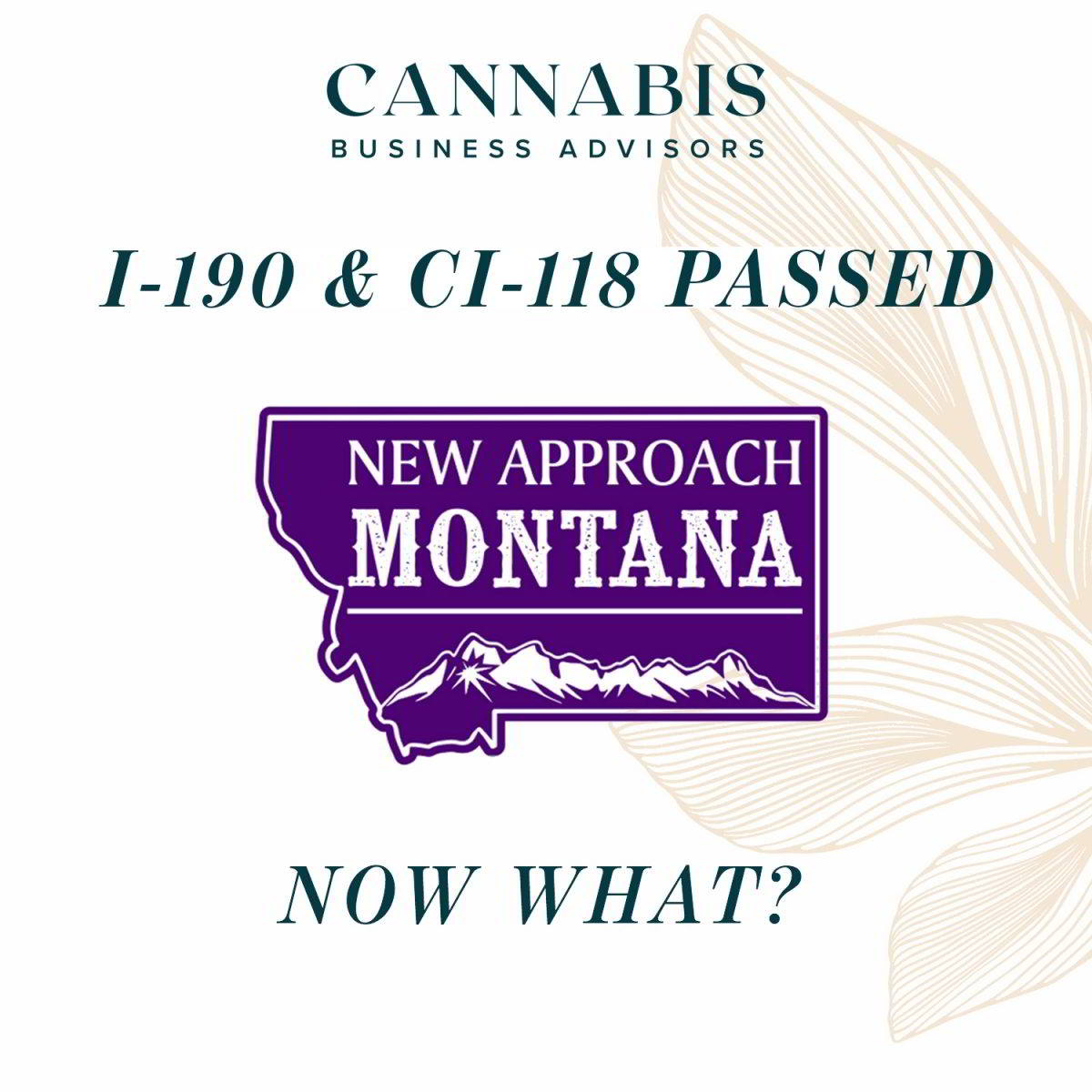 Montana Initiative 190 and CI-118 Passed – Now What?