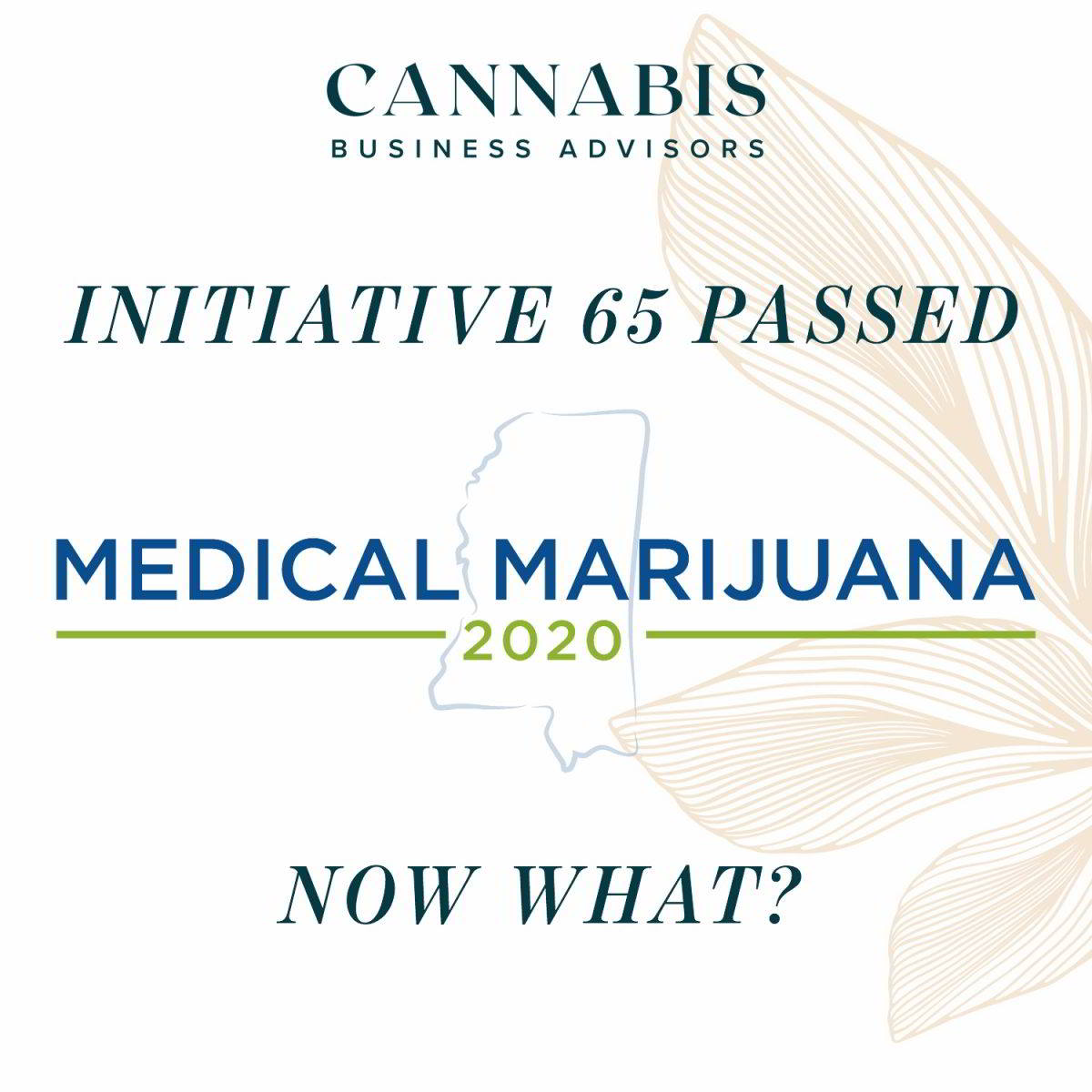 Mississippi Initiative 65 Passed – Now What?
