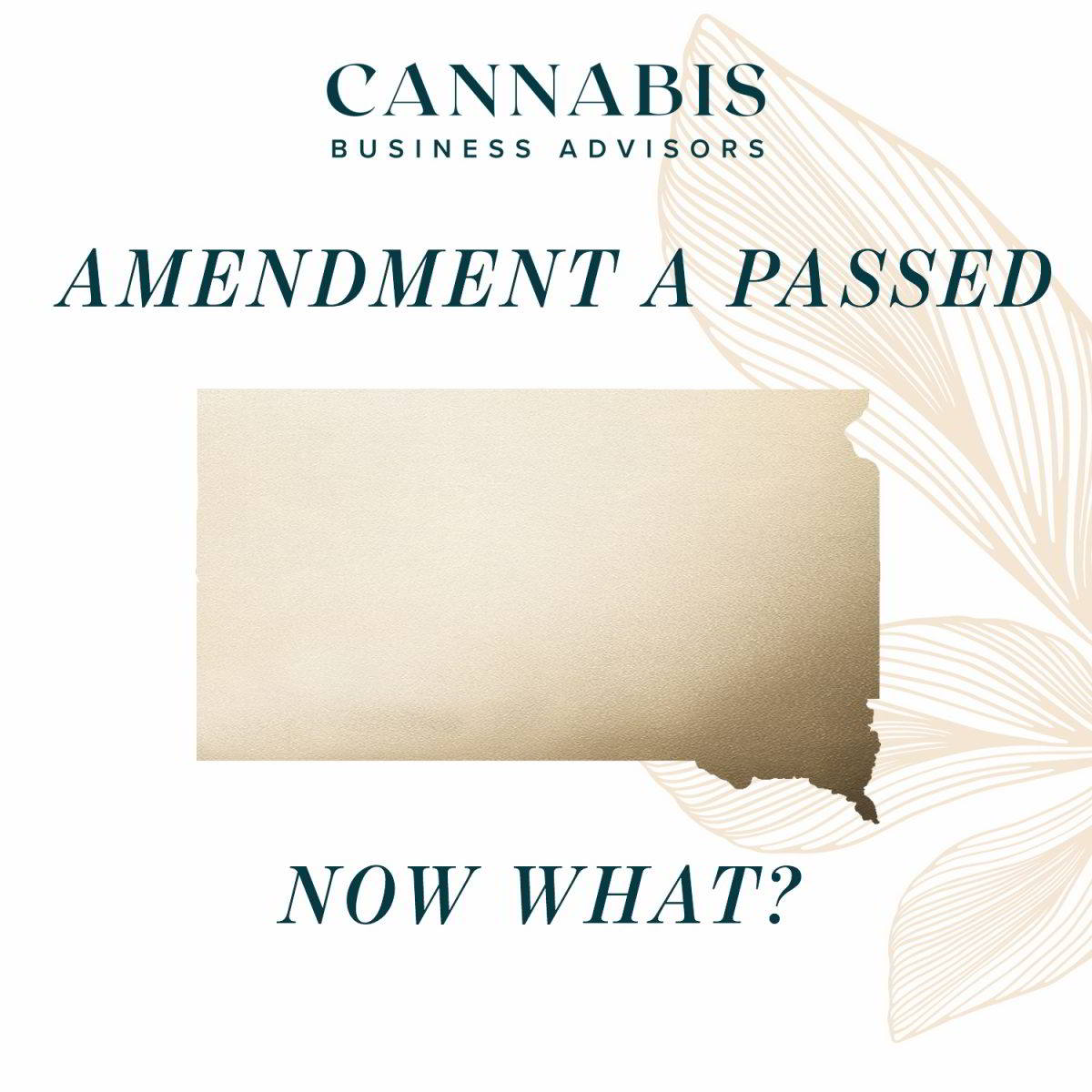 South Dakota Initiated Measure 26 and Constitutional Amendment Passed – Now What?