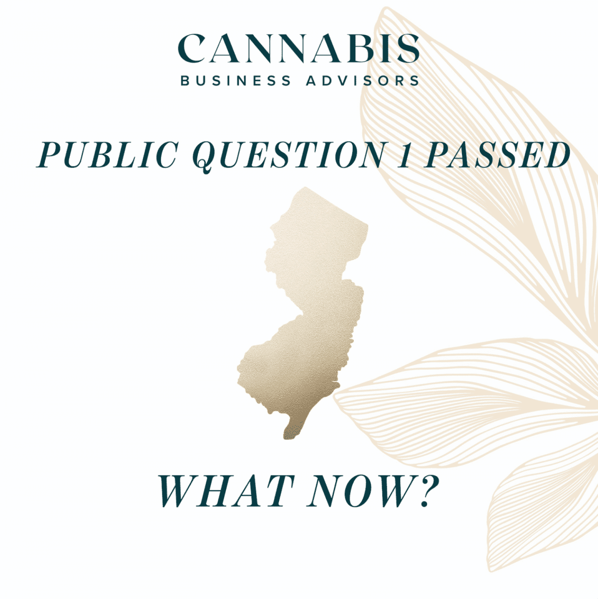 New Jersey Public Question 1 Passed – Now What?