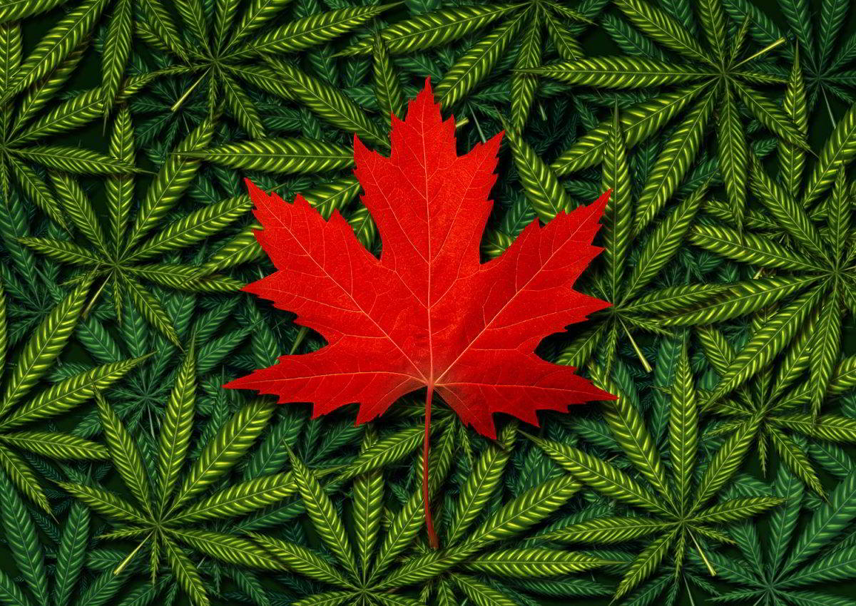 How Canada’s Marijuana Legalization Changes the Game